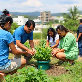 Projeto Cidade Limpa