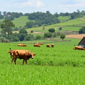 vagas de emprego agropecuária Barretos