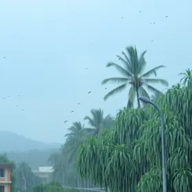 Olímpia entra em alerta para chuva forte e rajadas de vento até quinta (30) chuva forte