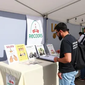 solidariedade